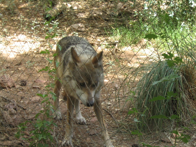 618x457 pixels (281K)